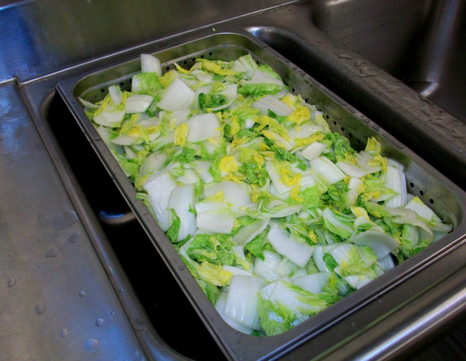 B - Draing Cut Cabbage