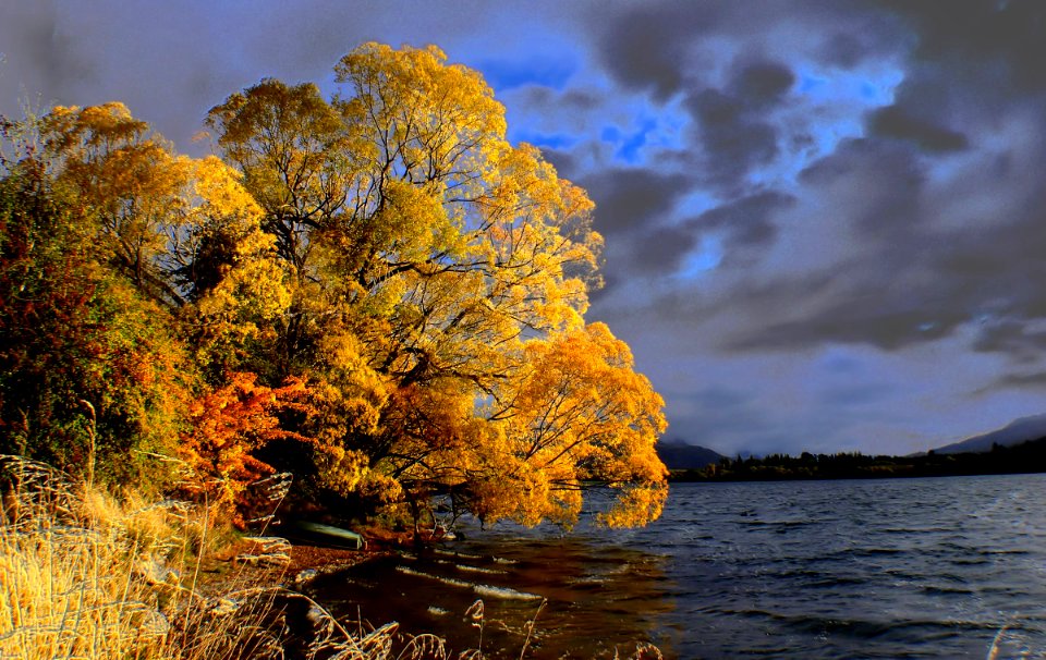 Autumn Lake Hayes.Otago.NZ