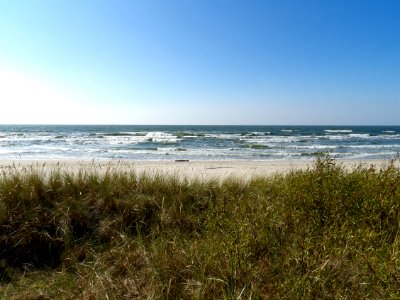 Beach beach beach