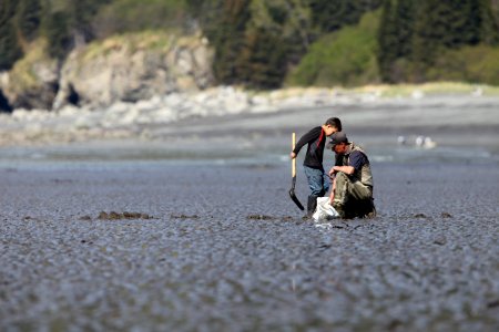 Clamming photo