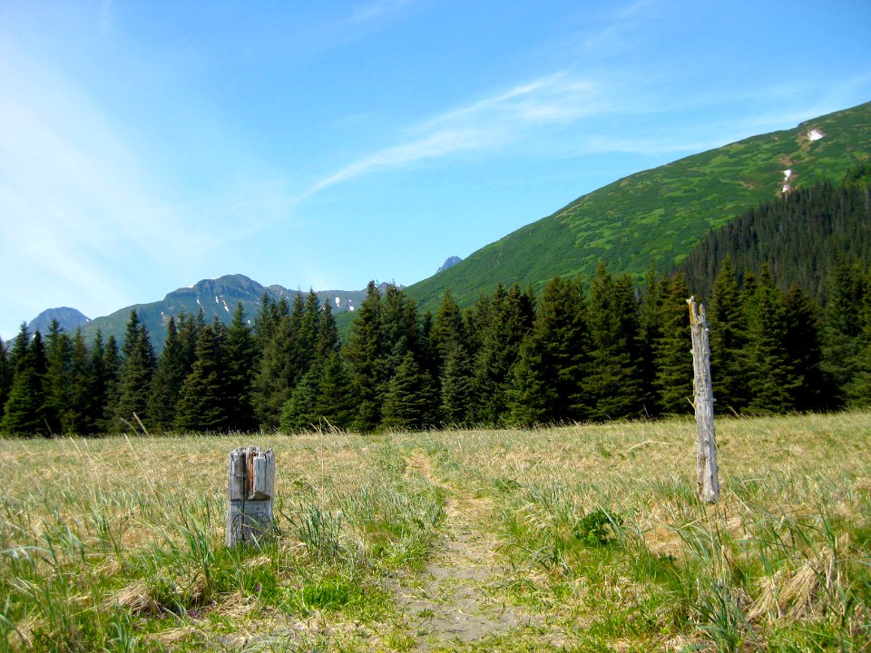 East Bear Viewing Area Trail Sign
