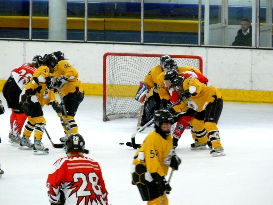 Bracknell Firebees Vs Swindon Topcats
