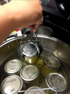 Lifting hot jars out of canner photo