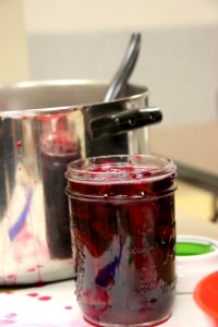 Pickled Beets and Pan photo