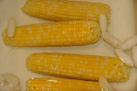 Corn in ice bath photo