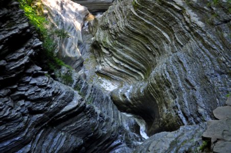 watkins glen