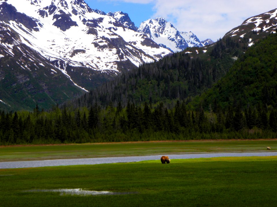 Grazing with a View