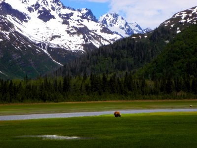 Grazing with a View