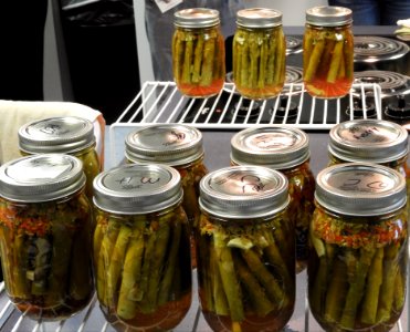 Racks of cooling pickled asparagus photo