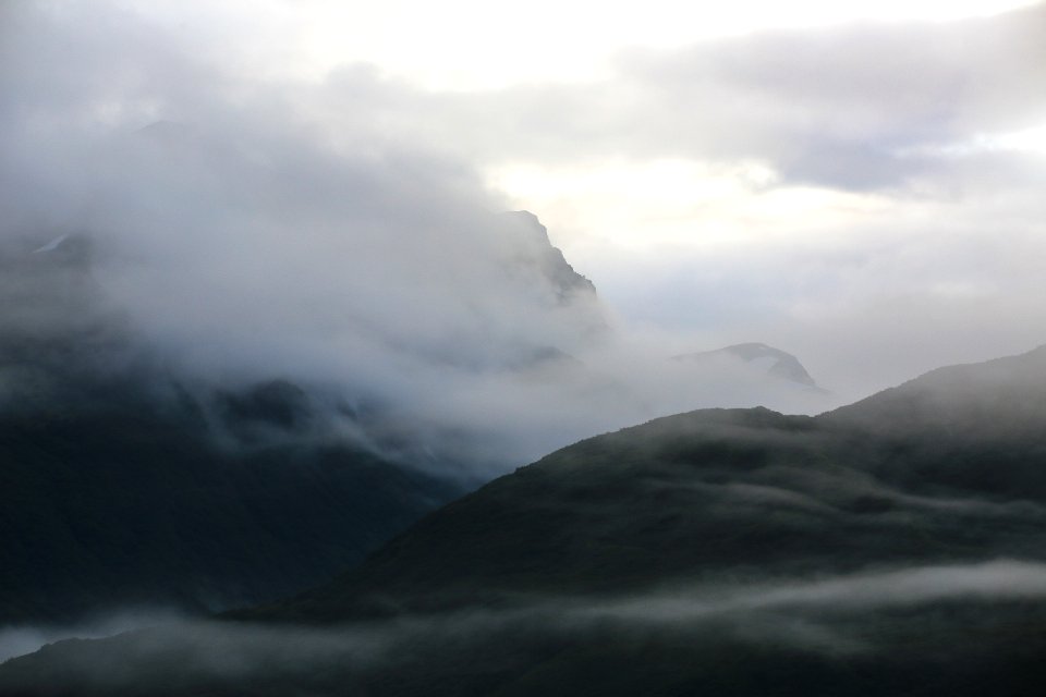 Fog Rolls In