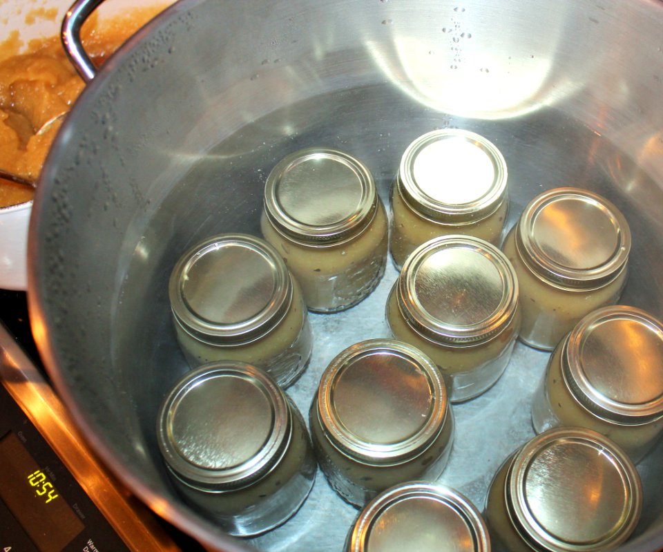 Jars of applesauce in boiling water bath canner