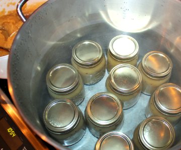 Jars of applesauce in boiling water bath canner