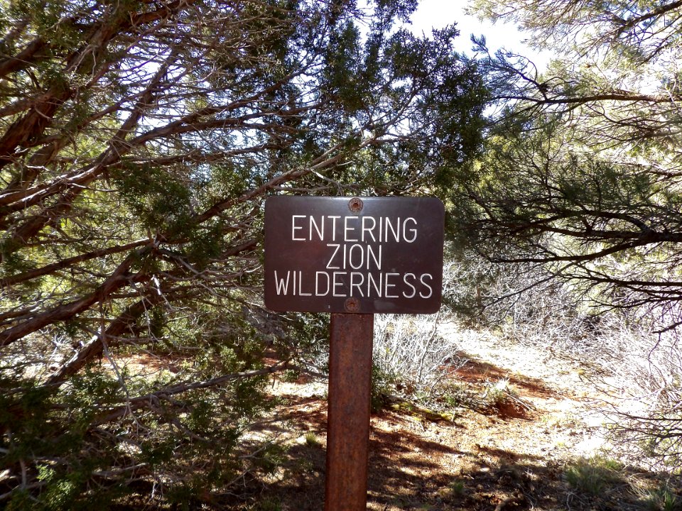 [Leaving] Zion Wildnerness