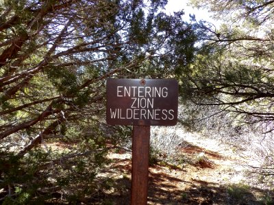[Leaving] Zion Wildnerness