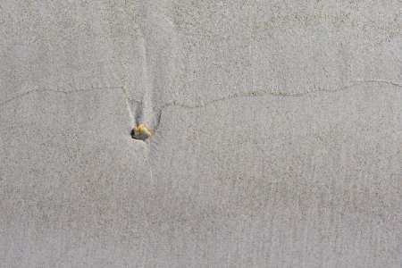 Sand Texture 2