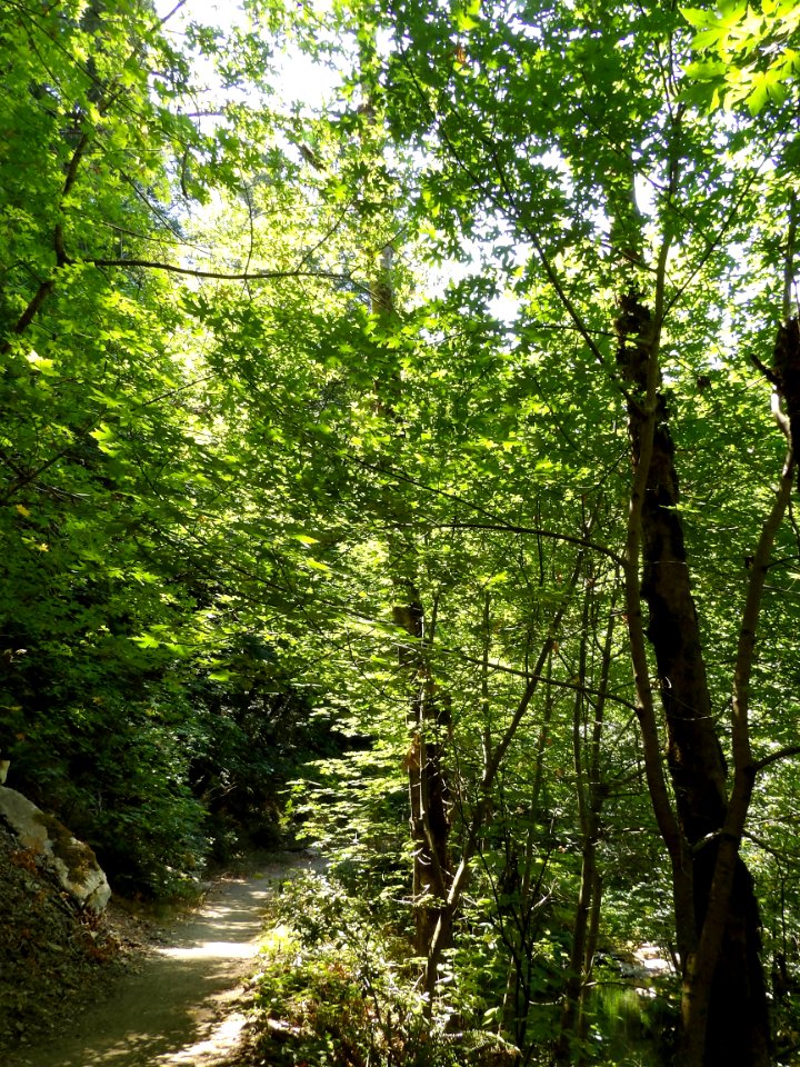 IMGP0248