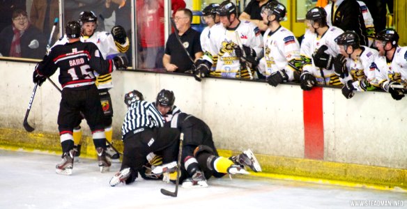 Bracknell Bees Vs Basingstoke Bison