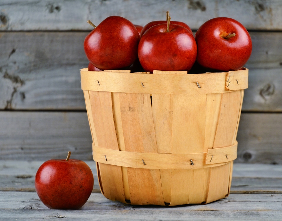 Fruit harvest garden