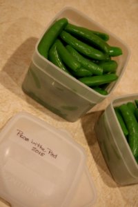 Packed snap peas labeled and ready for the freezer