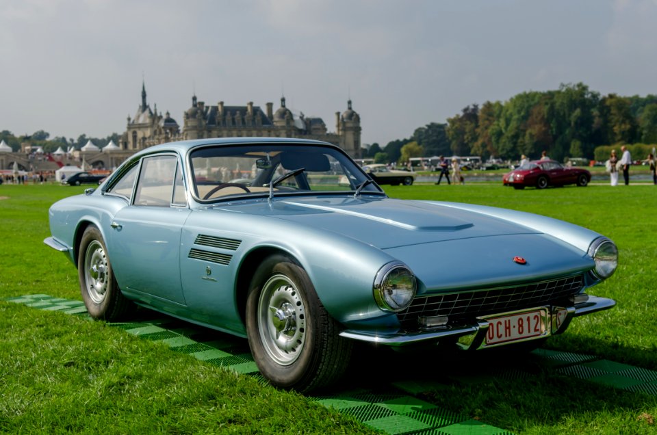 1955 Jaguar D-Type (Michelotti)