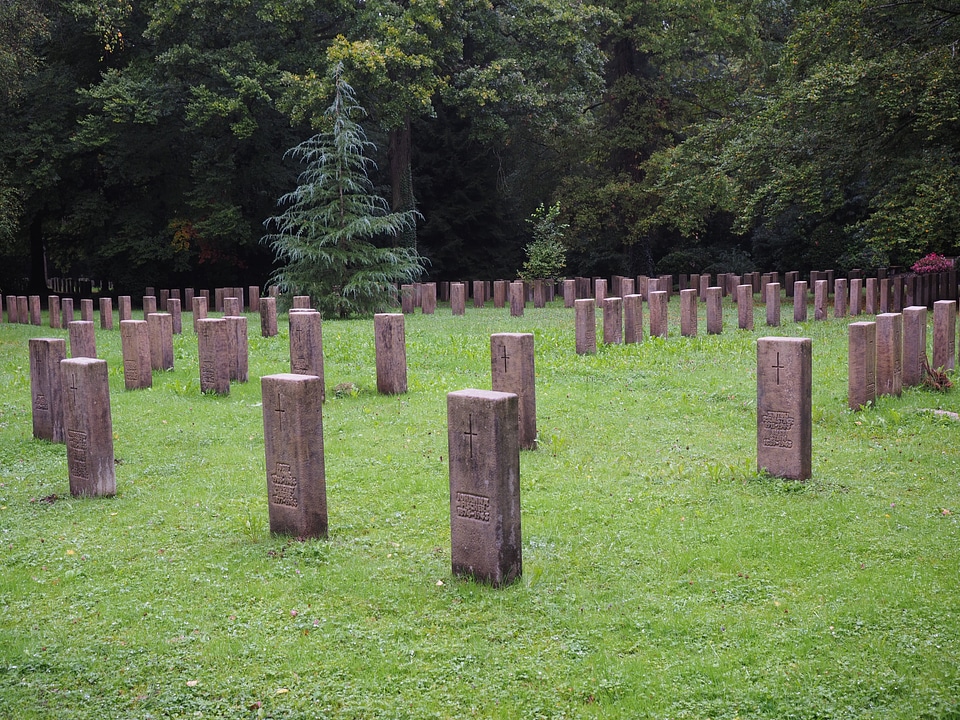 Forest cemetery stuttgart cemetery woodland cemetery