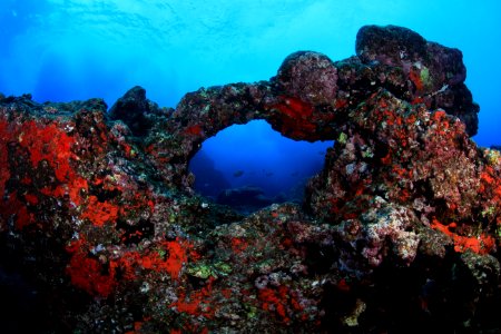 Hole in Reef at Gardner Pinnacles photo