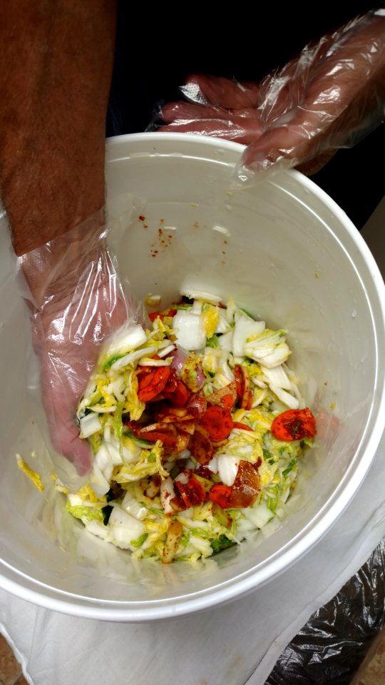 Kimchi making 1