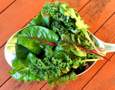 Leafy greens in a giant spoon photo