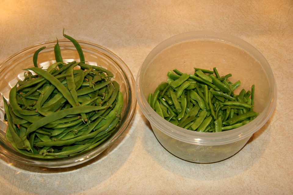 Fresh green beans being prepped for freezing