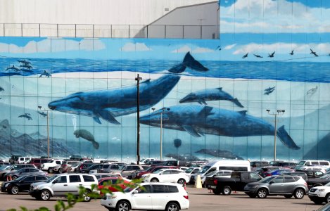 The Whaling Wall. New Orleans. photo