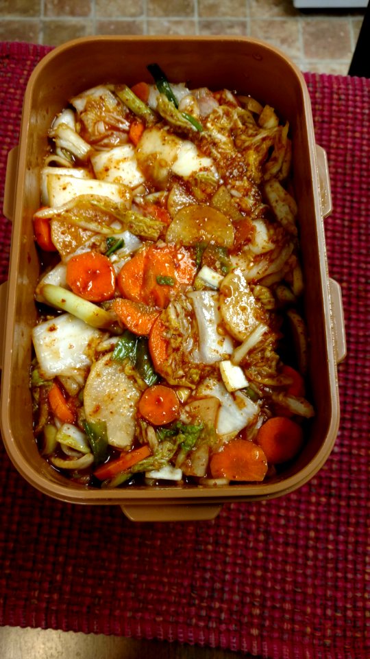 Fermented kimchi inside container