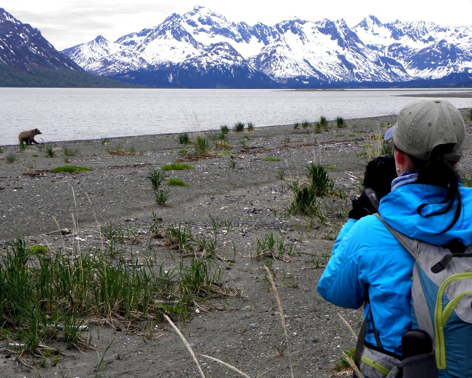 Beach at the Western Bear Viewing Area