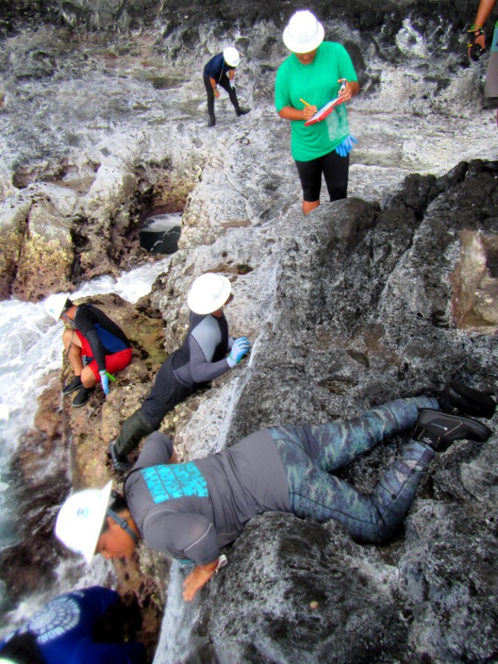Surveying the Rocky Shoreline