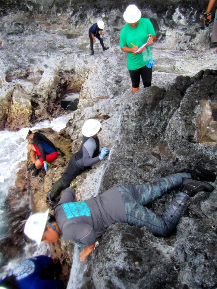 Surveying the Rocky Shoreline photo