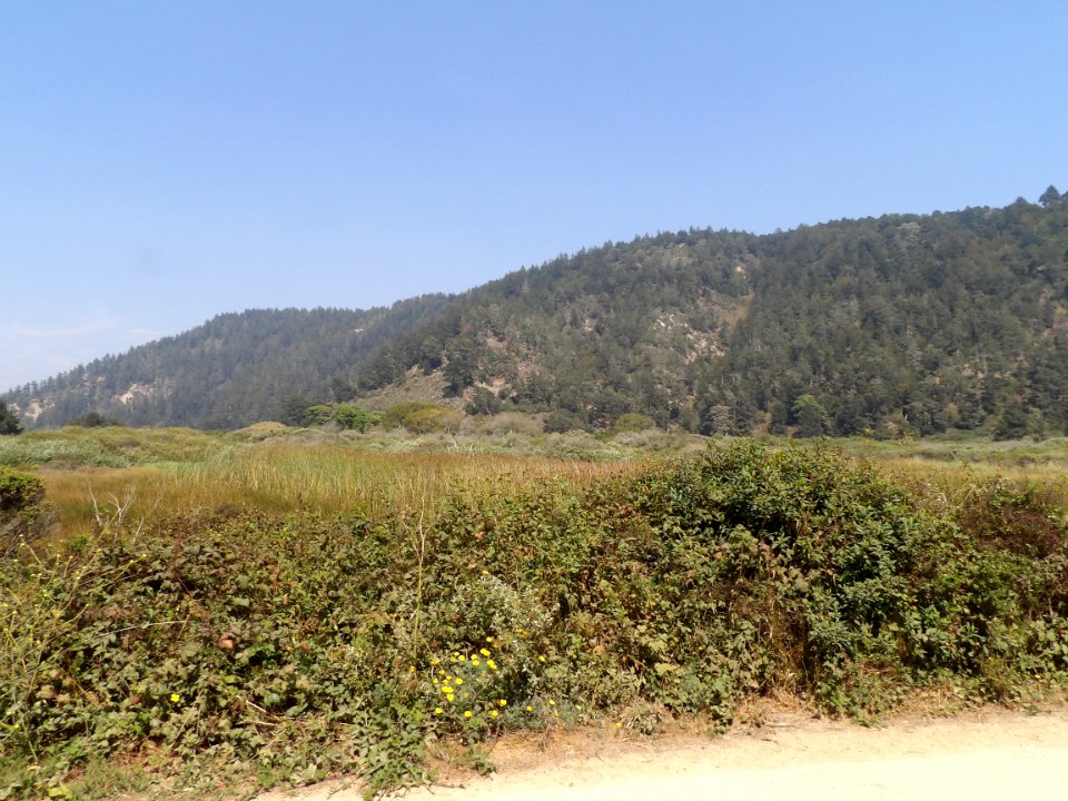 IMGP0284