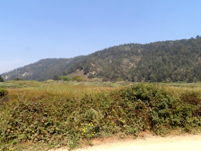 IMGP0284