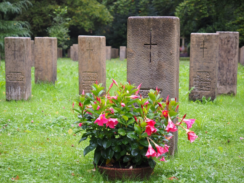 Woodland cemetery graves soldiers graves