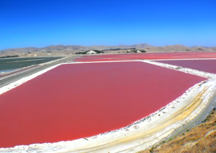 Solar salt Grassmere.NZ photo