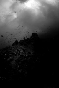 Gardner Pinnacle Reefscape Black and White photo