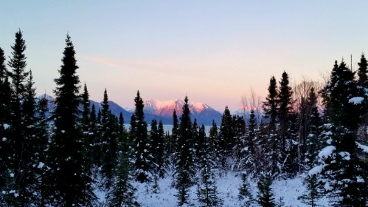 Falls Trail