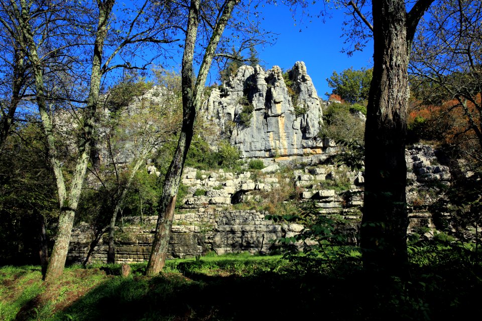 Clairière de la Turlure