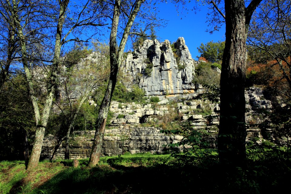 Clairière de la Turlure photo