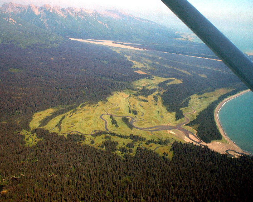 Aerial view of Chinitna Bay's Salt Marshes