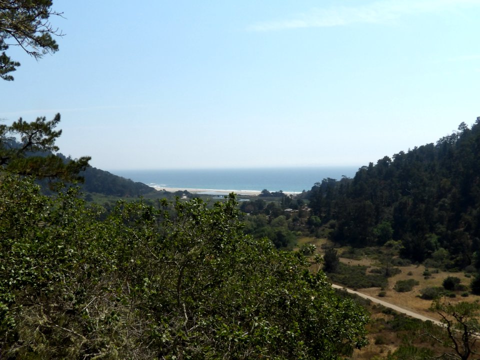 IMGP0278