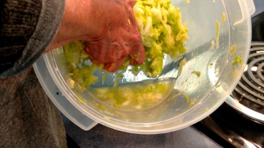Removing liquid from cabbage before filling mason jars photo