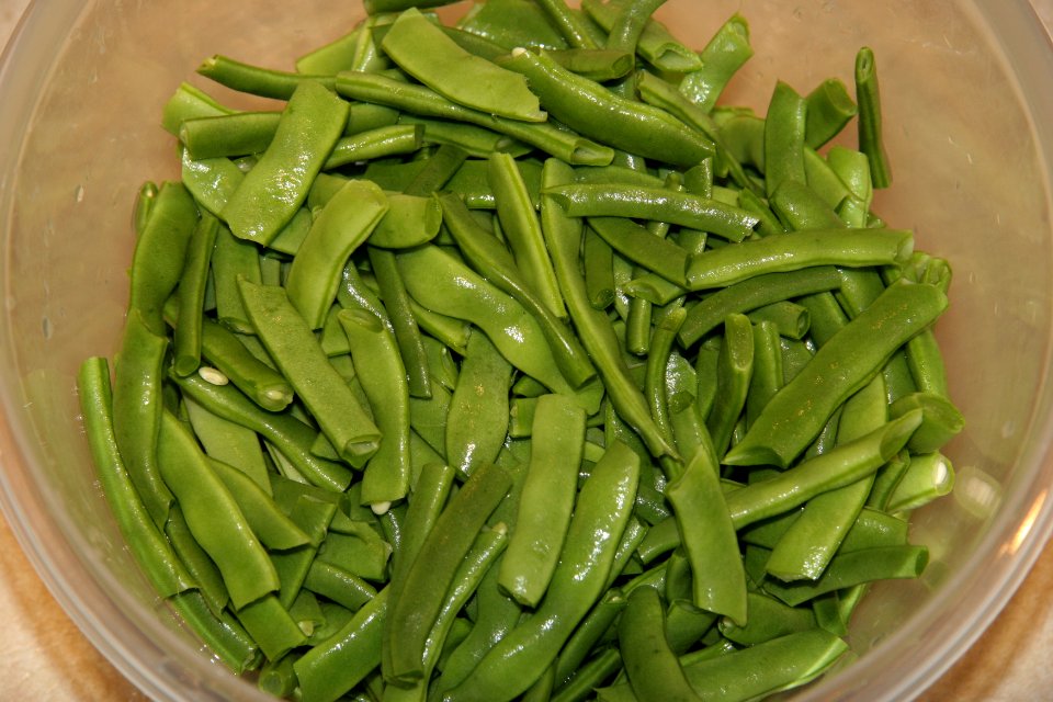 Blanched green beans ready for freezing