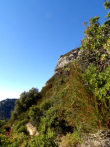 IMGP0146