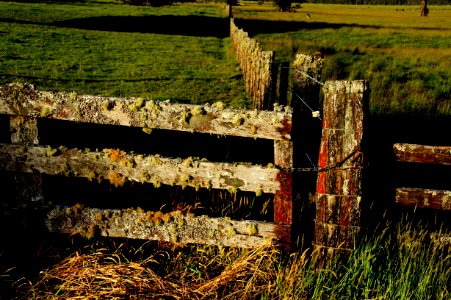 Down a country road.