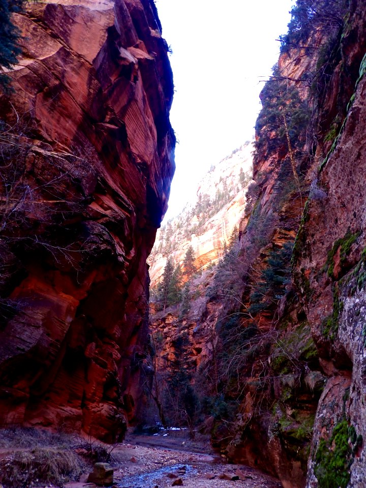 Bear Trap Creek