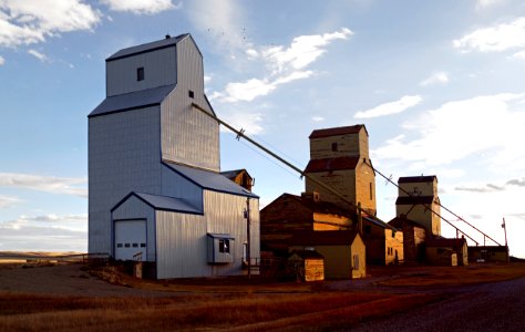 Mossleigh grain elevators. Alberta. photo